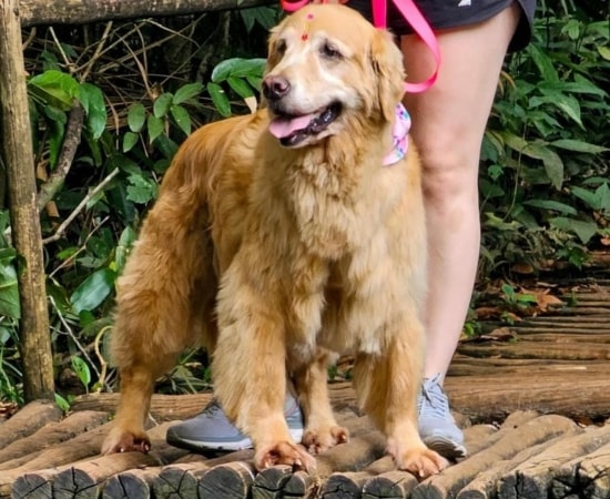 Design sem nome (18)-min