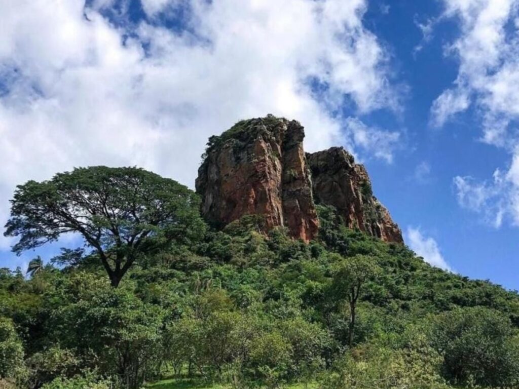 Design sem nome (23)-min