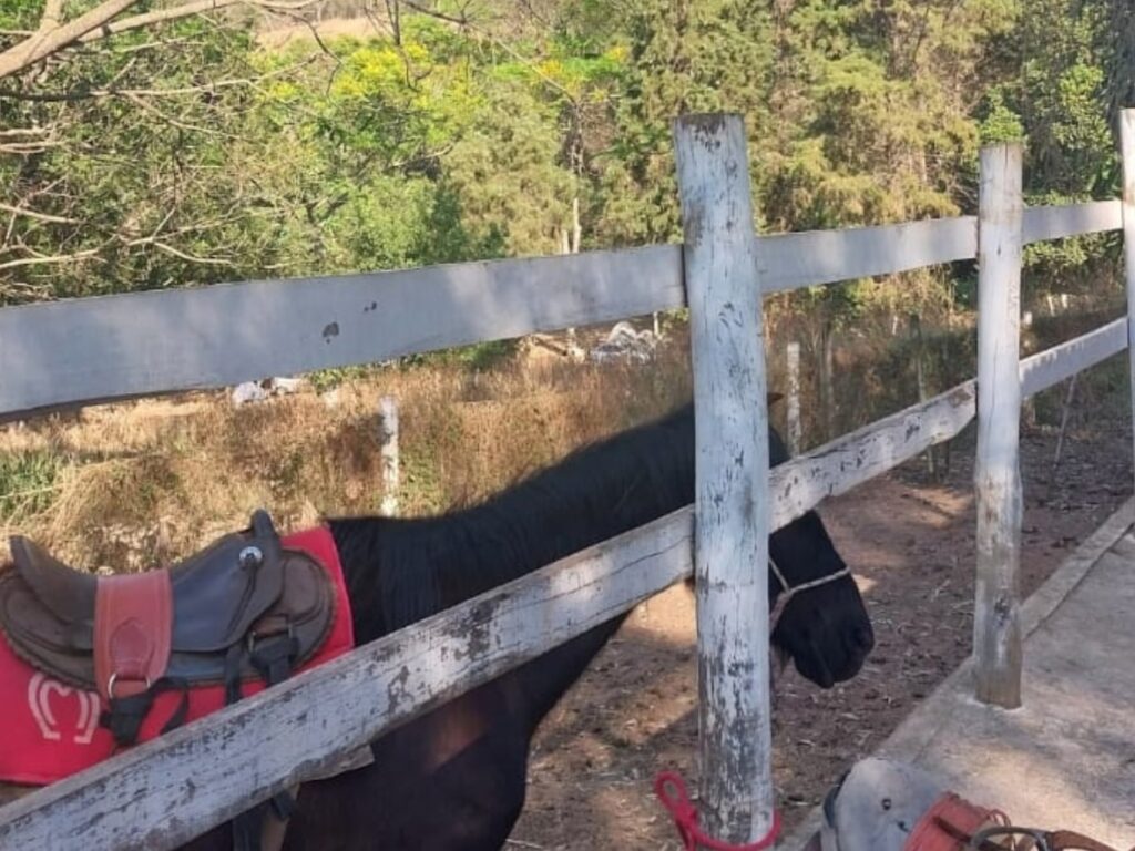 Design sem nome (25)-min