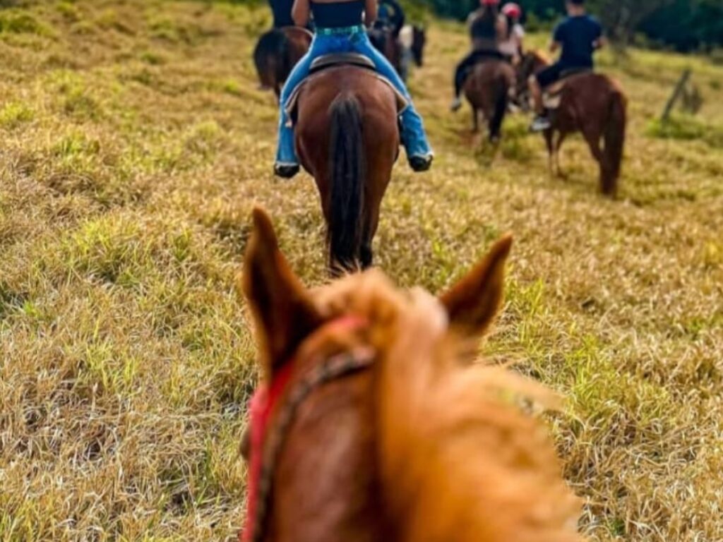 Design sem nome (27)-min