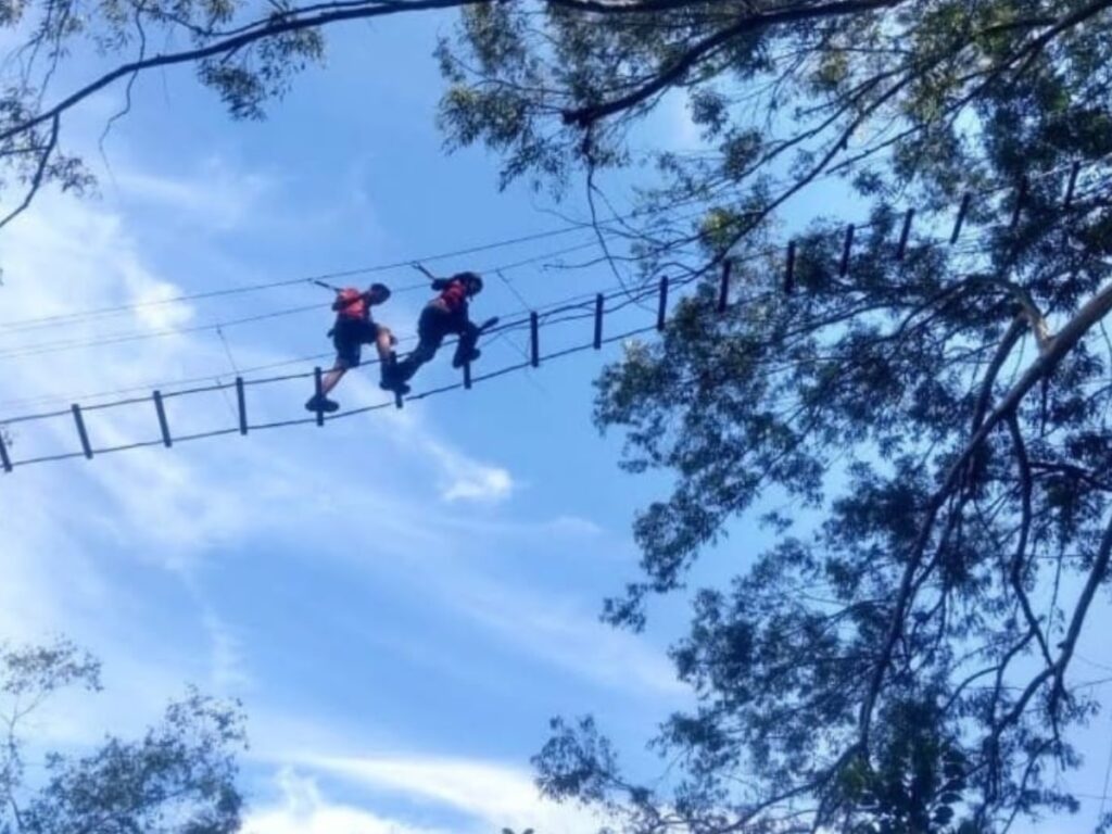 arvorismo-analandia (1)-min