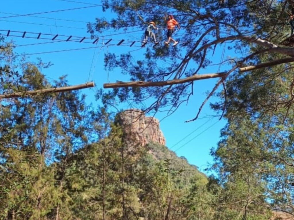 arvorismo-analandia (4)-min