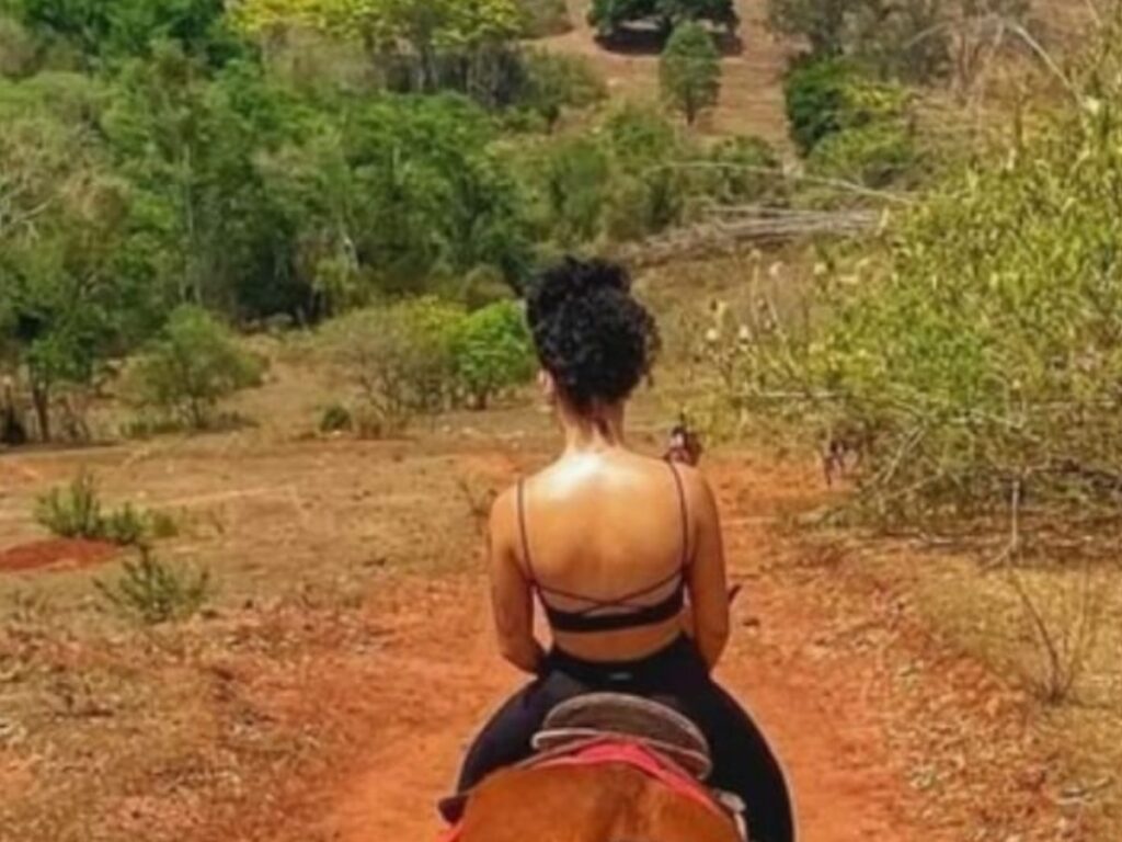 cavalgada-analandia-min