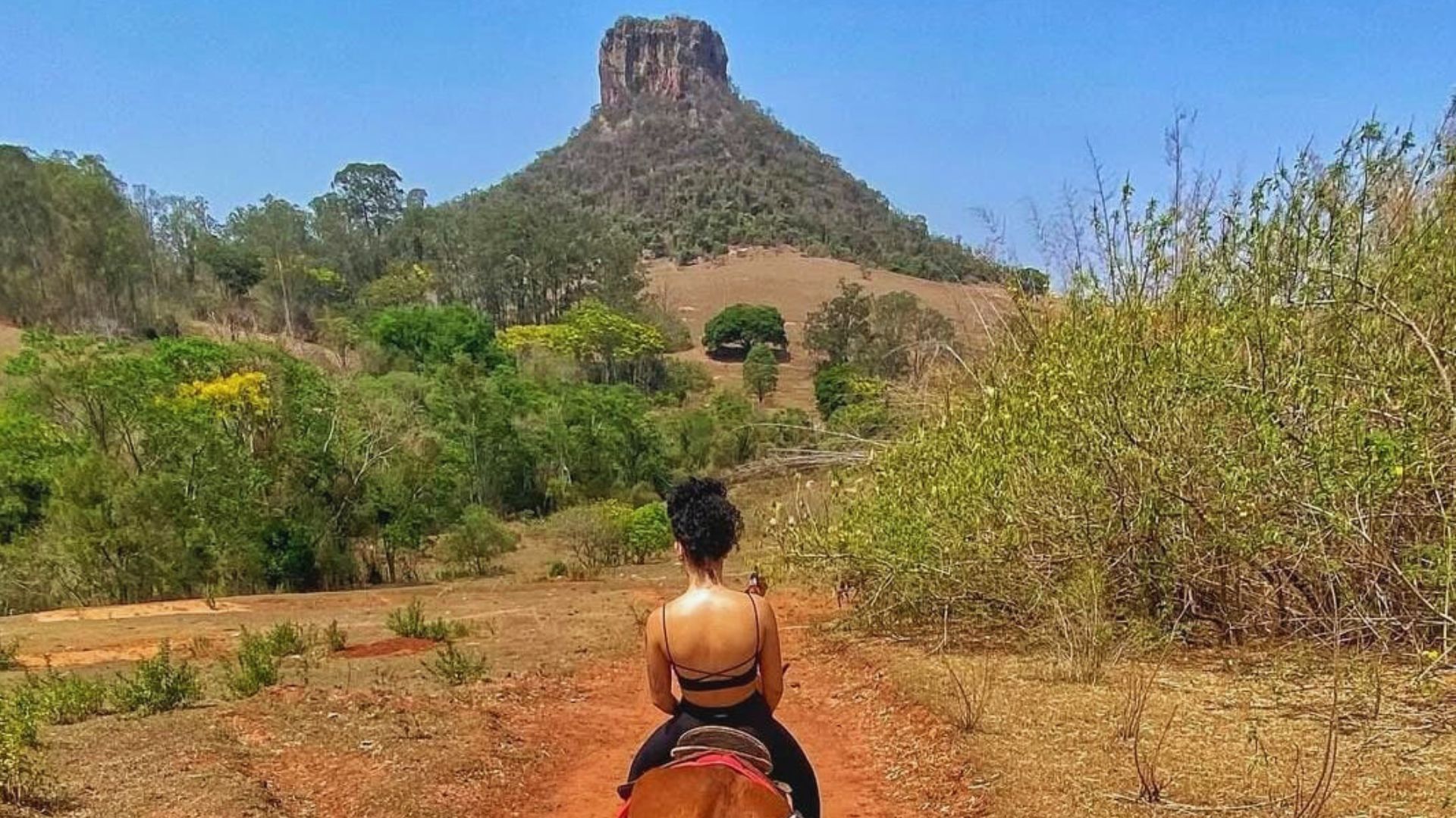 Inserir-um-titulo-5-min.jpg