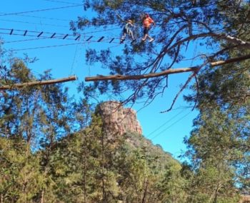 arvorismo-analandia (4)-min