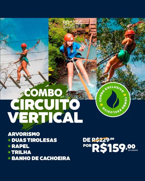circuito vertical-min